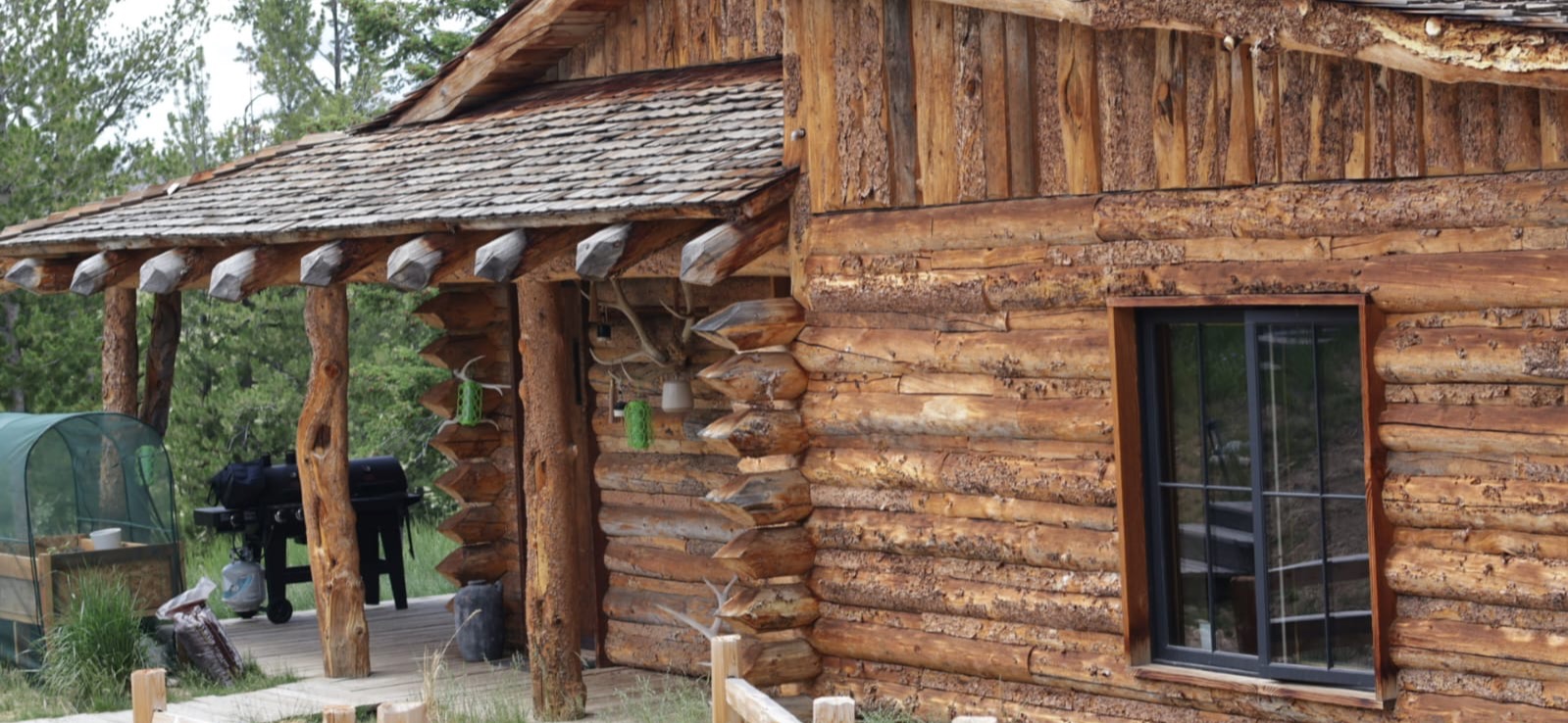 Log wall before sandblasting